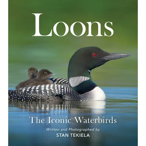 Loons: The Iconic Waterbirds
