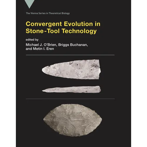Convergent Evolution in Stone-Tool Technology