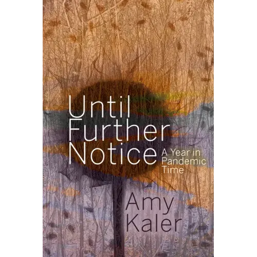 Until Further Notice: A Year in Pandemic Time