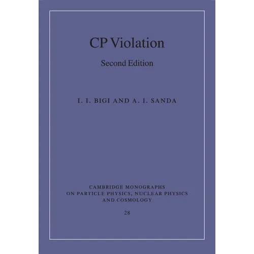 CP Violation