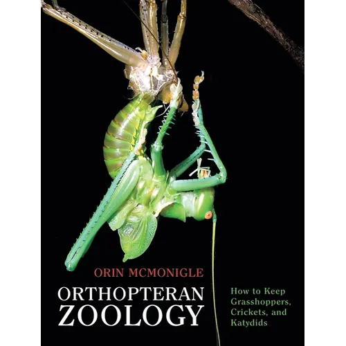 Orthopteran Zoology: How to Keep Grasshoppers, Crickets, and Katydids