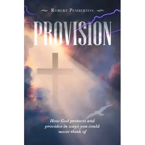 Provision: How God Protects and Provides in Ways You Could Never Think Of