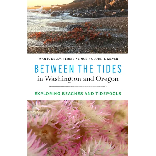 Between the Tides in Washington and Oregon: Exploring Beaches and Tidepools