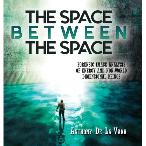 The Space Between the Space: Forensic image analysis of energy and non-World dimensional beings