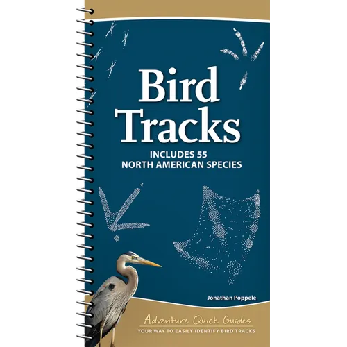 Bird Tracks: Includes 55 North American Species