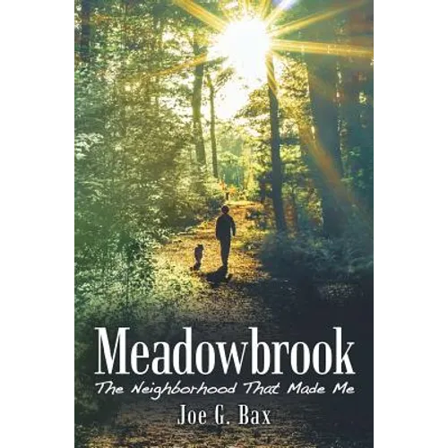 Meadowbrook: The Neighborhood That Made Me