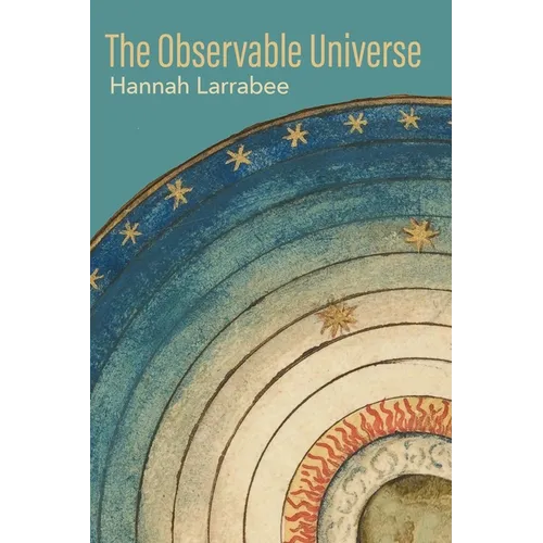 The Observable Universe