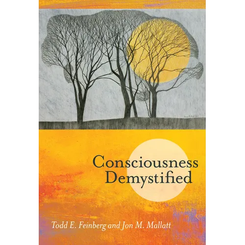 Consciousness Demystified