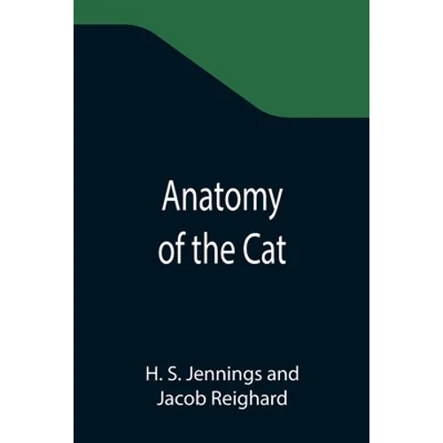 Anatomy of the Cat