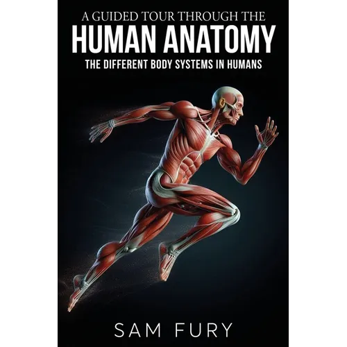 A Guided Tour Through the Human Anatomy: The Different Body Systems In Humans