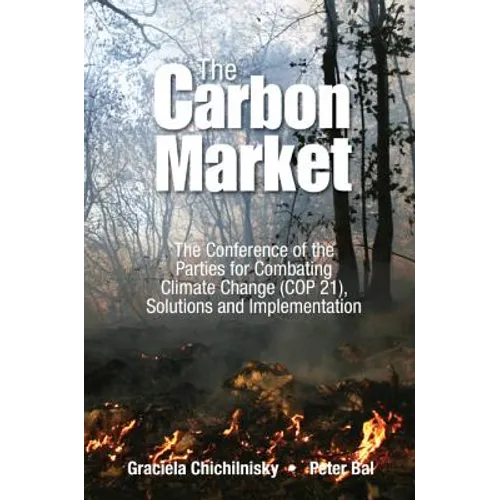 Reversing Climate Change