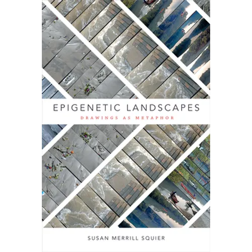 Epigenetic Landscapes: Drawings as Metaphor