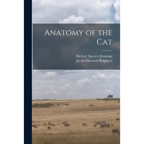 Anatomy of the Cat