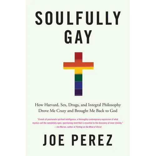 Soulfully Gay: How Harvard, Sex, Drugs, and Integral Philosophy Drove Me Crazy and Brought Me Back to God