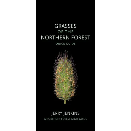 Grasses of the Northern Forest: Quick Guide