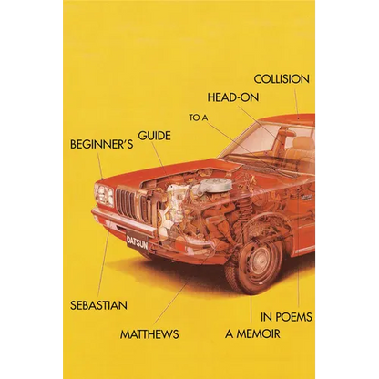 Beginner's Guide to a Head-On Collision - Paperback