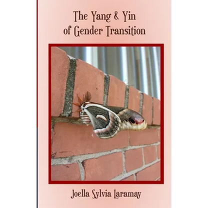 The Yang & Yin of Gender Transition - Paperback