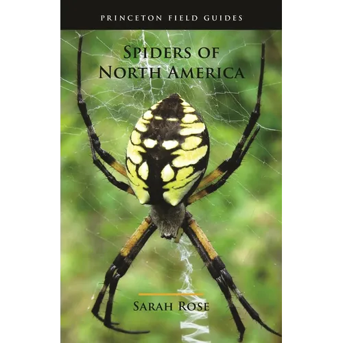 Spiders of North America