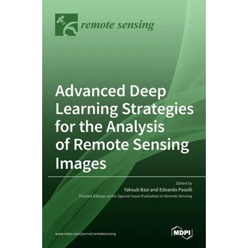 Advanced Deep Learning Strategies for the Analysis of Remote Sensing Images