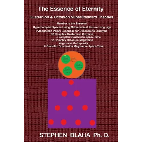 The Essence of Eternity: Quaternion & Octonion SuperStandard Theories