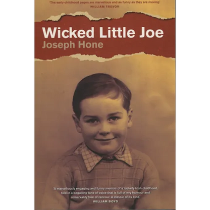 Wicked Little Joe - Paperback