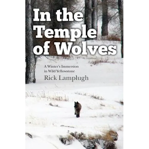 In the Temple of Wolves: A Winter's Immersion in Wild Yellowstone