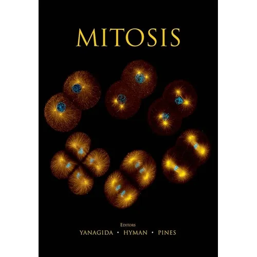 Mitosis