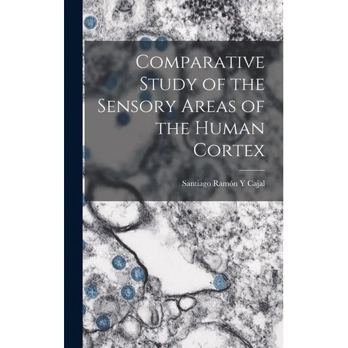 Comparative Study of the Sensory Areas of the Human Cortex
