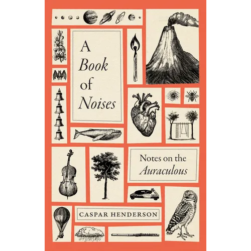 A Book of Noises: Notes on the Auraculous