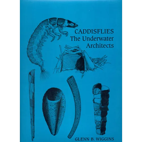 Caddisflies: The Underwater Architects
