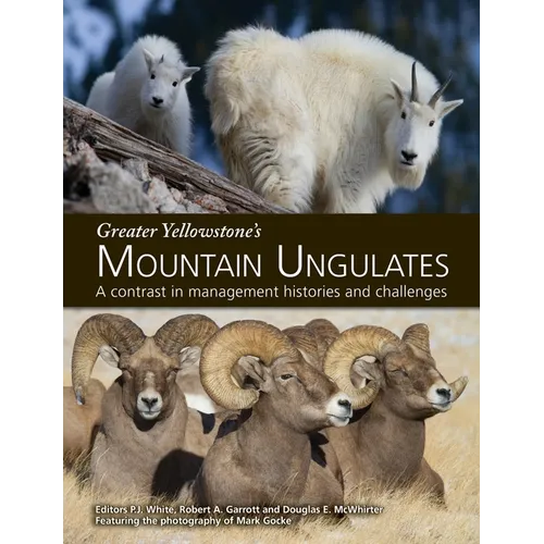 Greater Yellowstone's Mountain Ungulates: A Contrast in Management Histories and Challenges: A
