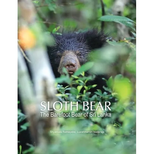 Sloth Bear: The Barefoot Bear of Sri Lanka