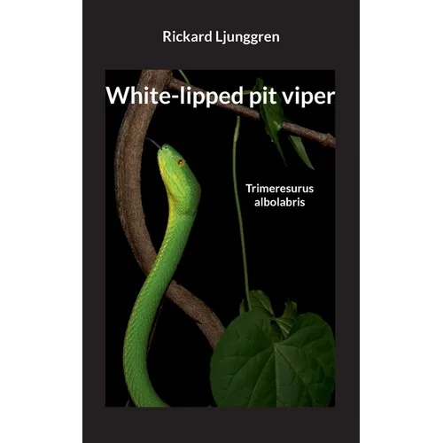 White-lipped pit viper: Trimeresurus albolabris