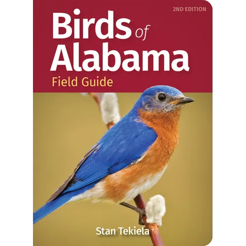 Birds of Alabama Field Guide