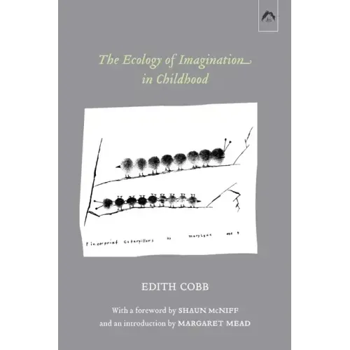 The Ecology of Imagination in Childhood