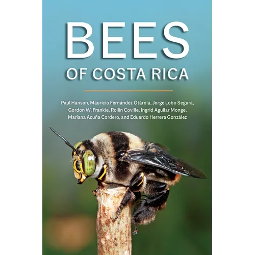 Bees of Costa Rica