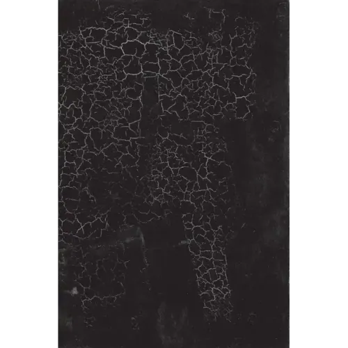Black Square: Malevich and the Origin of Suprematism