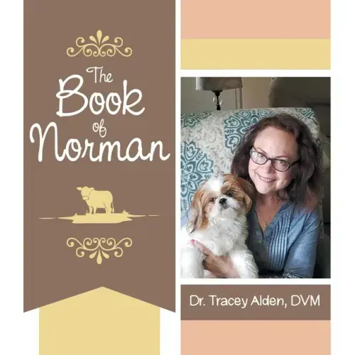 The Book of Norman