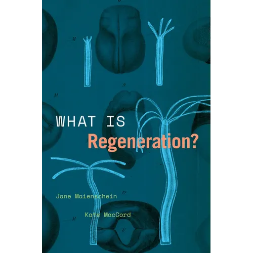 What Is Regeneration?