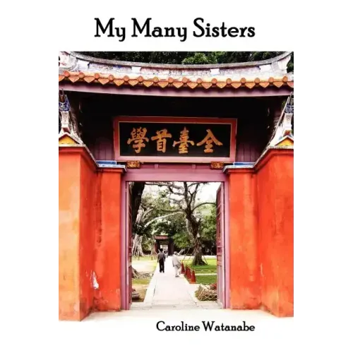 My Many Sisters, the Journal of a Volunteer with the Daughters of Charity