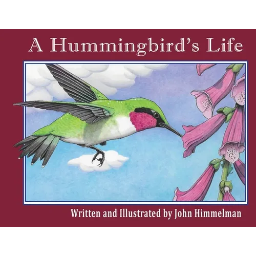 A Hummingbird's Life