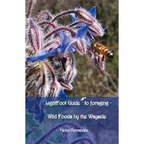 Lightfoot Guide to Foraging - Wild Foods by the Wayside