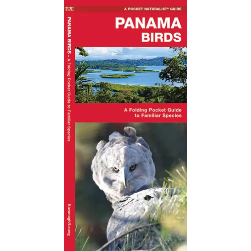 Panama Birds: A Folding Pocket Guide to Familiar Species