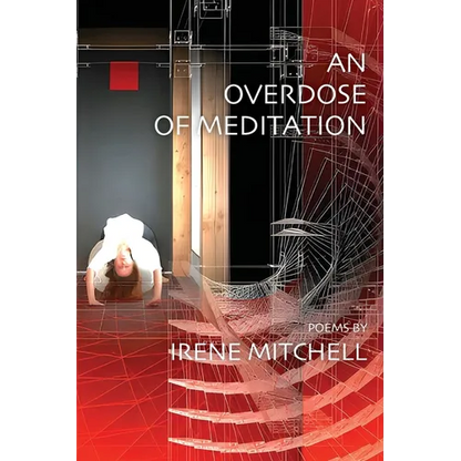 An Overdose of Meditation - Paperback