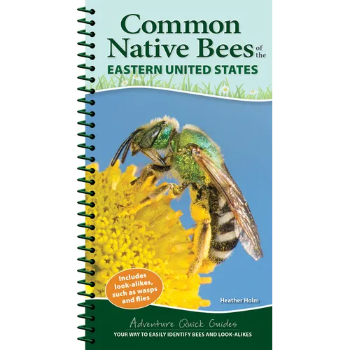 Common Native Bees of the Eastern United States: Your Way to Easily Identify Bees and Look-Alikes