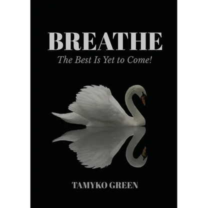 Breathe: The Best Is Yet To Come - Paperback
