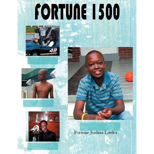 Fortune 1500: A Story in Pictures