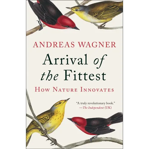 Arrival of the Fittest: How Nature Innovates