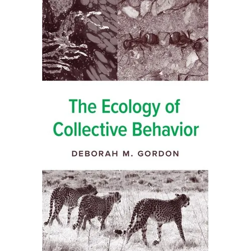 The Ecology of Collective Behavior