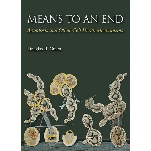 Means to an End: Apoptosis and Other Cell Death Mechanisms